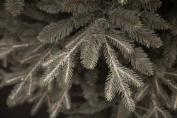 Ель Леара 215 см., 1000 LED ламп, Литая хвоя+ПВХ, серебристая, Black Box (74434)