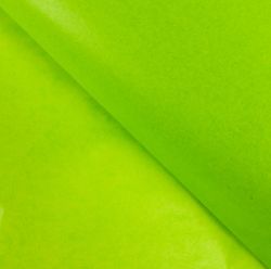 Бумага тишью 50х65 см 10 листов