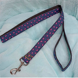 Pet Fashion Ошейник+поводок "Лапочка" синий, 2,5Х120 см