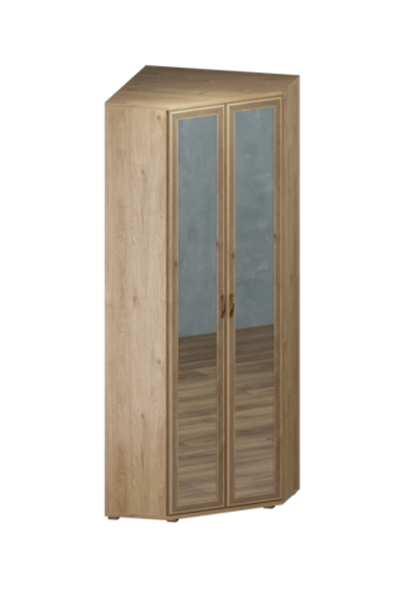 Шкаф угловой Карина ШК-1016