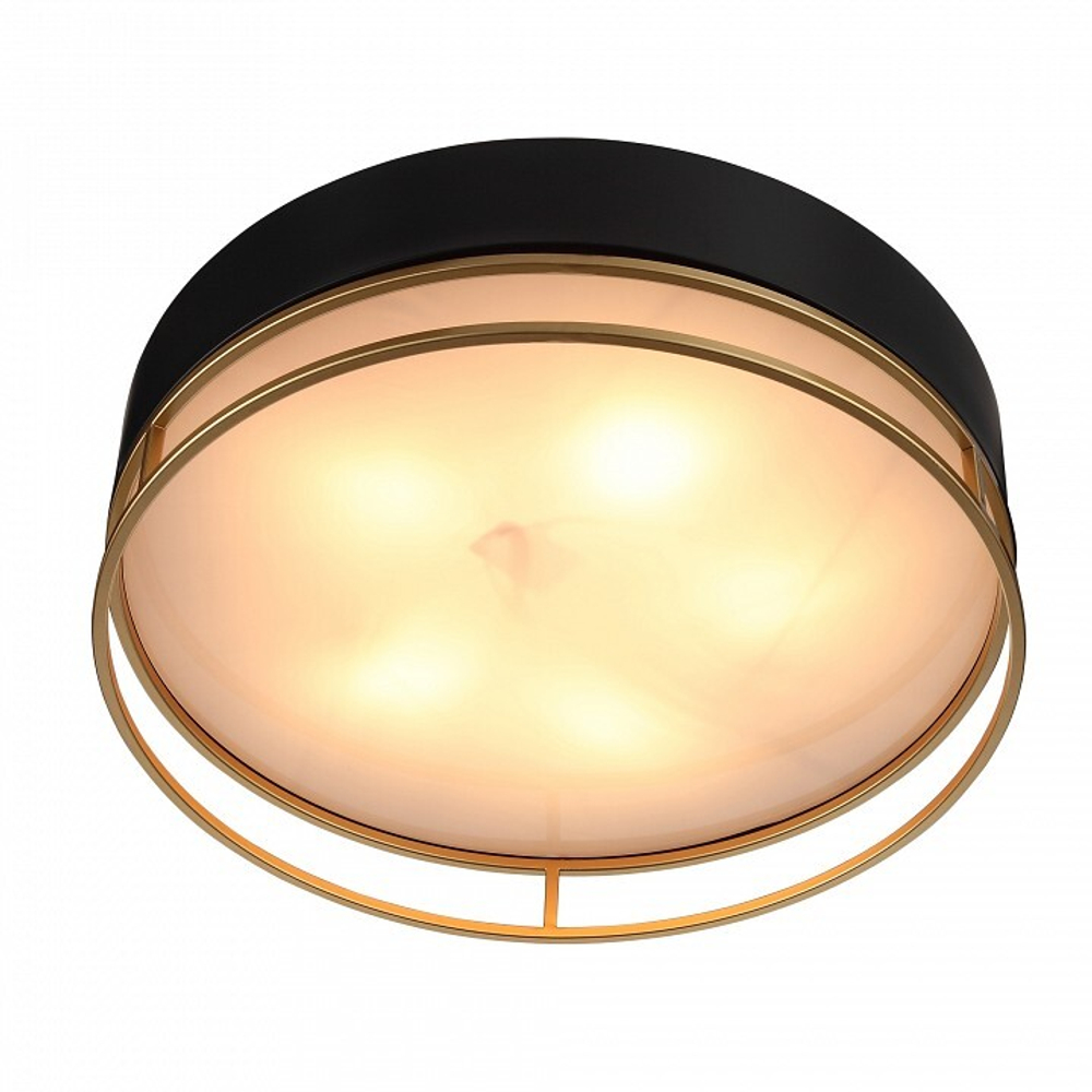Накладной светильник ST-Luce SL1127.432.05