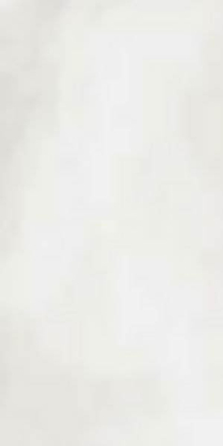 Керамогранит R-EVOLUTION TOTAL WHITE *36SC* (11460126)