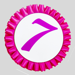 Номер участника. Диаметр 115 мм.