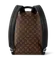 Рюкзак Louis Vuitton Discovery PM канва Monogram Macassar