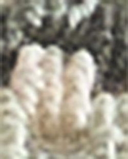 Zara Home Полотенце для лица и рук из хлопка, wielokolorowy · 1525/013
