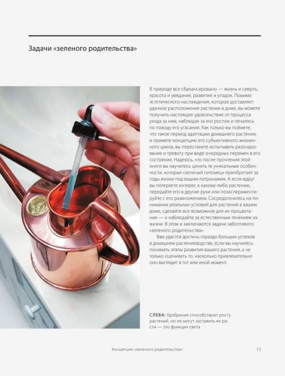 Зеленый дом. Самое понятное руководство по уходу за комнатными растениями