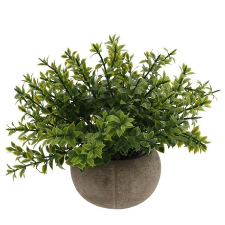 GAEM Цветочная композиция, L20 W20 H17 см