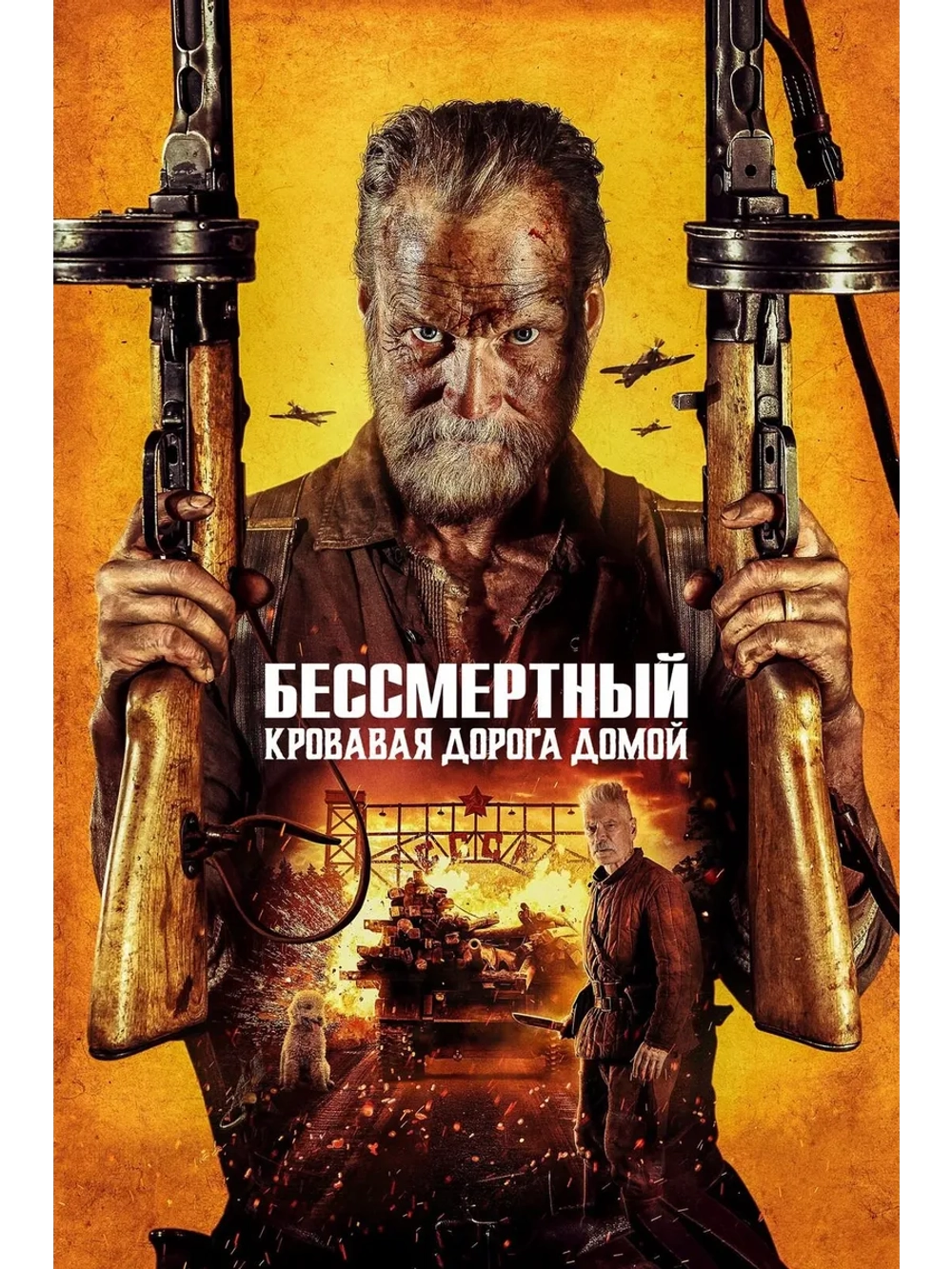 Бессмертный: Кровавая дорога домой (2025) (DVD-R)