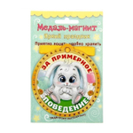 Медаль на магните "За примерное поведение"