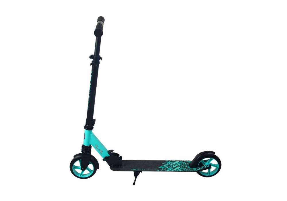 Maxiscoo "Pond Pro" (2024)