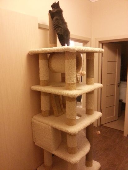 Игровой комплекс для кошки КУН-2 (мейн-кун)