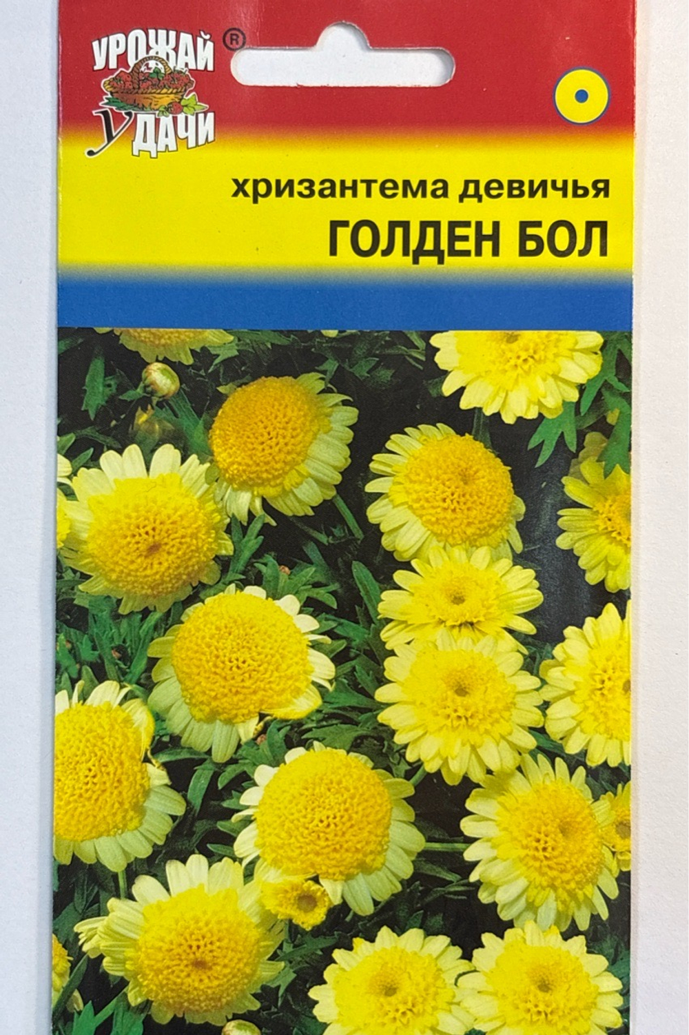 Хризантема Девичья Голден Бол 0,05 г СМЦ-336