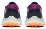 Кроссовки Nike Pegasus Trail 2 (Женская размерная сетка)