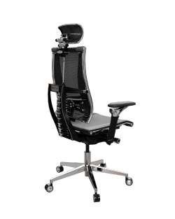 Эргономичное кресло Кресло Yoga Spine Triumph B2