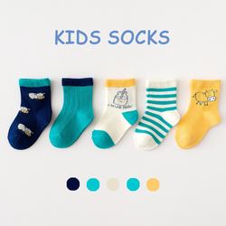 Носки 5в1 Kids Sochs