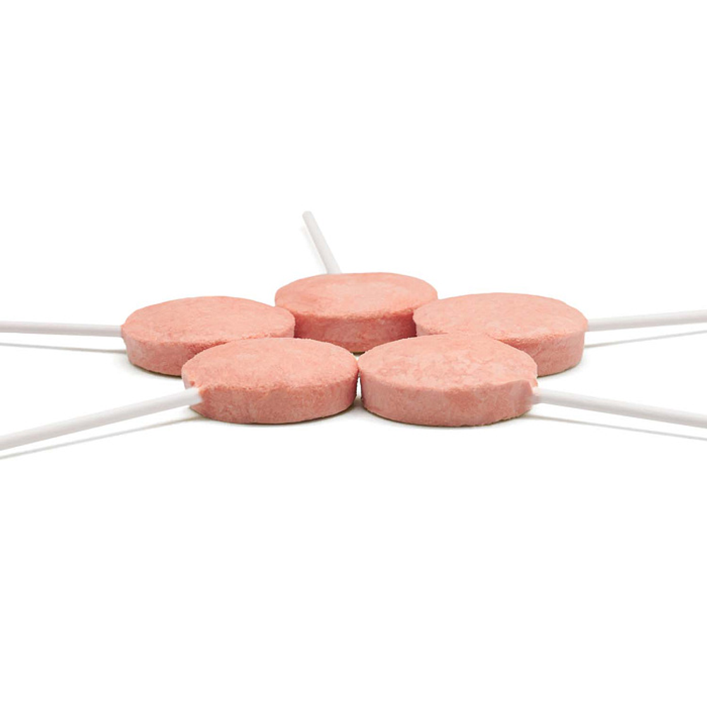 Лакомство Ranova для кошек CN сублимированное на палочке с клюквой, 1,4 г х 10 шт