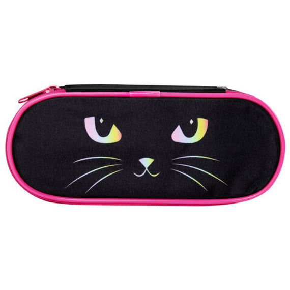 Penal \ Pencil case\ Пенал-футляр BRAUBERG, 1 отделение, органайзер, полиэстер, 22x9x5 см, 271585