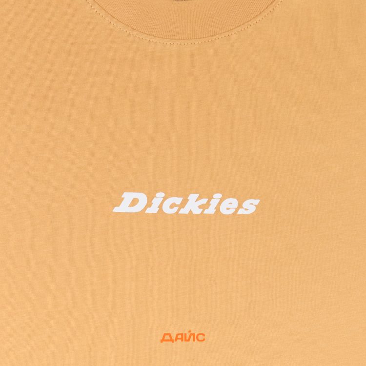 Футболка мужская Dickies Enterprise артикул:DK0A4YRNK411 - купить в магазине Дайс