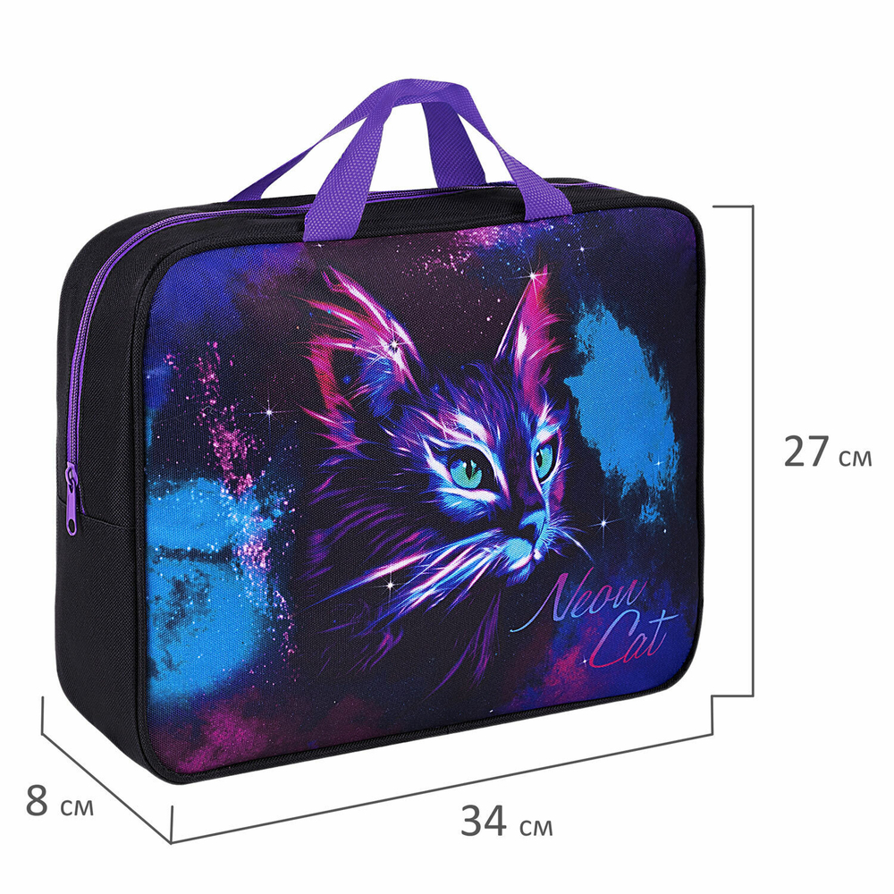 Папка на молнии с ручками BRAUBERG А4 1 отделение полиэстер 80 мм "Neon cat" (2 штуки в упаковке)