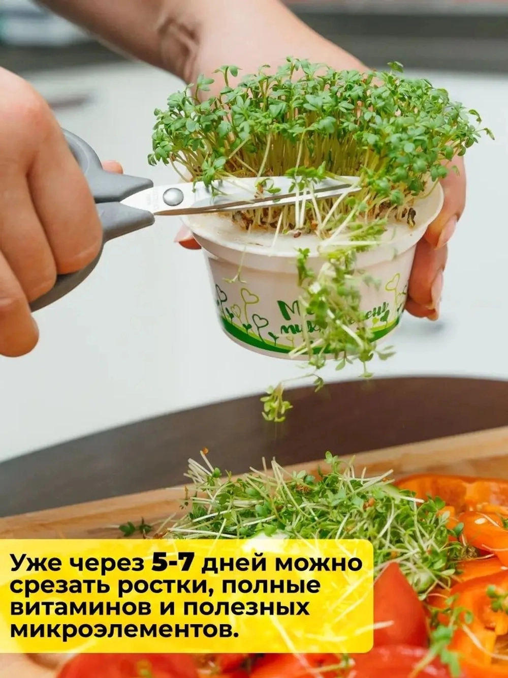 Микрозелень "Брюква", набор для выращивания