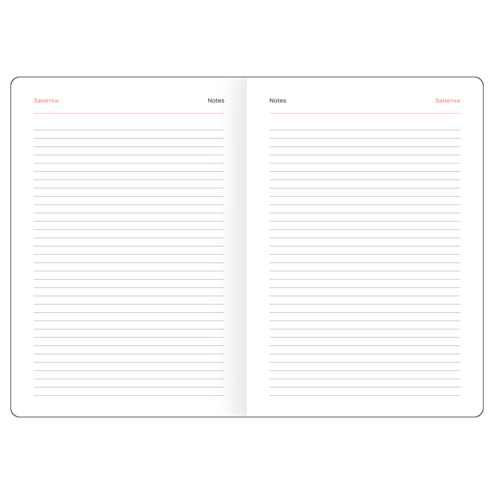 Ежедневник "Nebraska. Blue" А5, 160л, недатированный