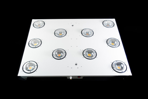 LED лампа Rootster (ex. Big Cock Design) Skeleton 2.0 Sk 1000M 550W