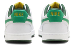 Кроссовки Nike Court Vision Low (Женская размерная сетка)