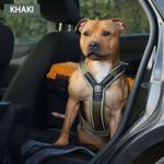 Шлейка Slip-On BullyBillows