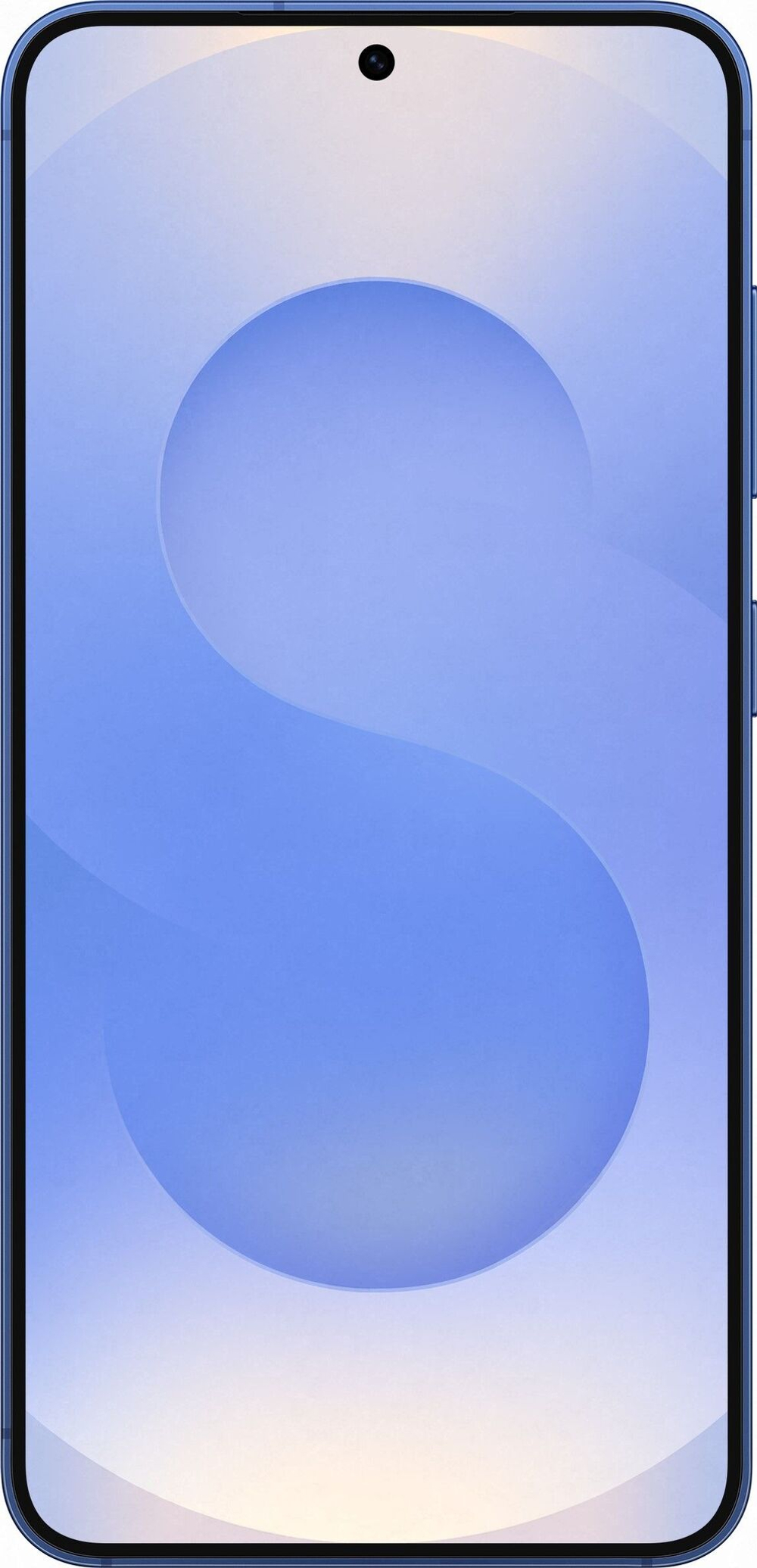 Galaxy S25 Plus