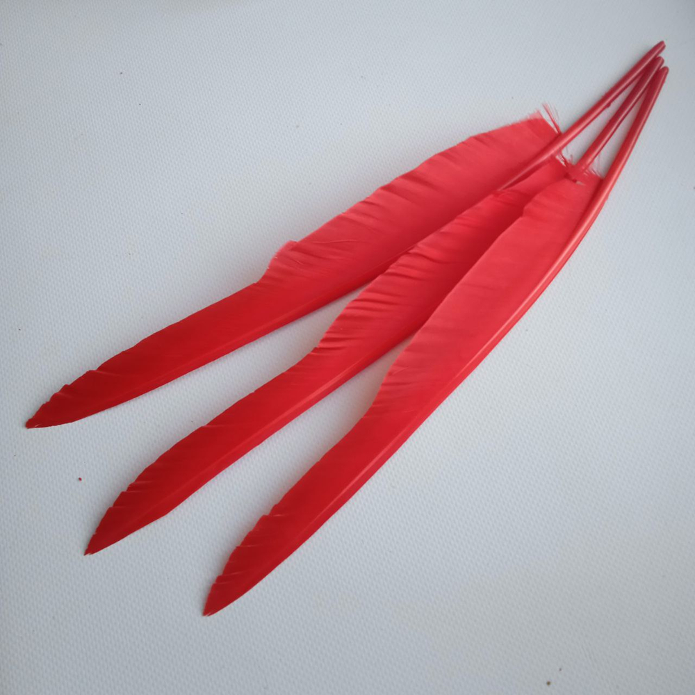 Перо для письма красное