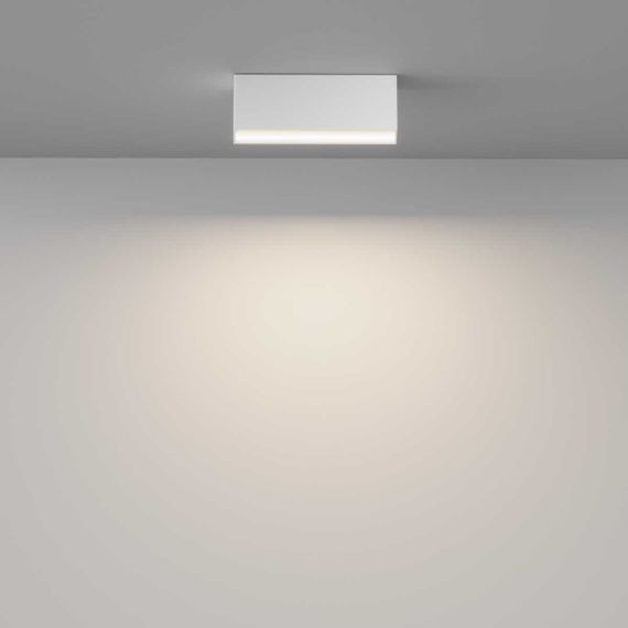 Потолочный светильник Maytoni Technical Basis C068CL-12W3-6K-W