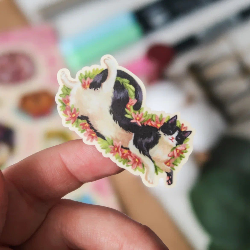 MINI PACK MARCH CATS