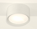 Накладной светильник Ambrella Light XS XS8101001