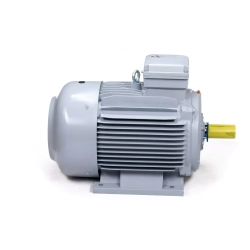 Электродвигатель ESQ PR 315 S2-SDN-Б1-S12-IE3 110/3000 IMB3