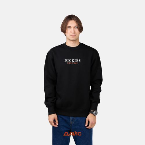 Толстовка мужская Dickies Park Sweatshirt артикул:DK0A4YEIBLK1 - купить в магазине Дайс