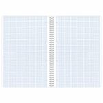 Тетрадь А4, 96 л., BRAUBERG, гребень, клетка, обложка картон, "Calm", 404059, 4шт