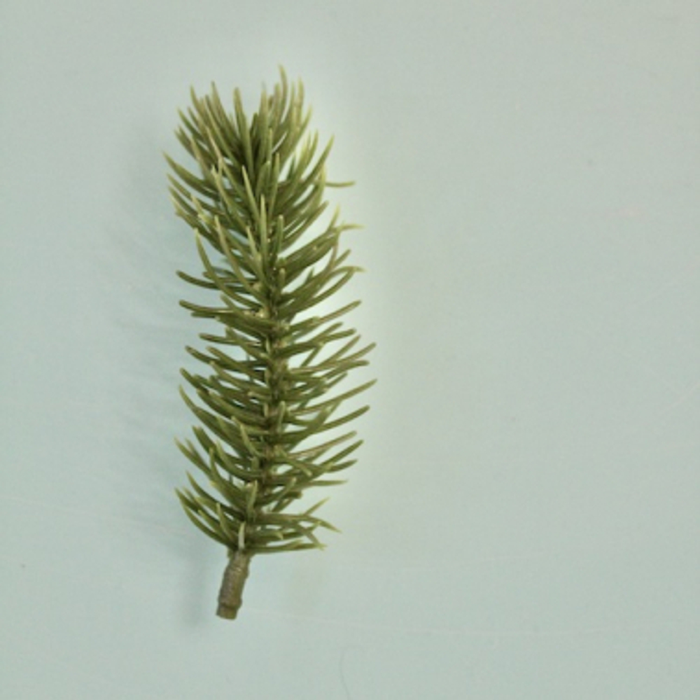 Еловая веточка базовая 9 см зеленая