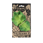 KENDALL THE KALE, прорезыватель для зубов