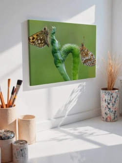 Картина на стену 40 X 50 Бабочки