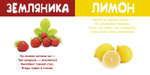 Мои фрукты и ягоды