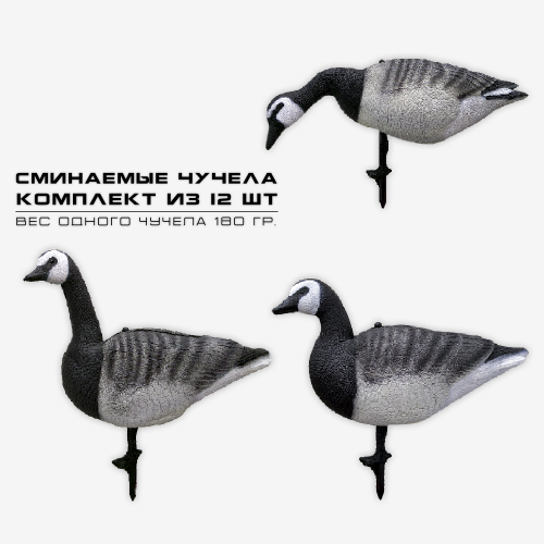 Белощекая казарка SuperXPE 12 шт.