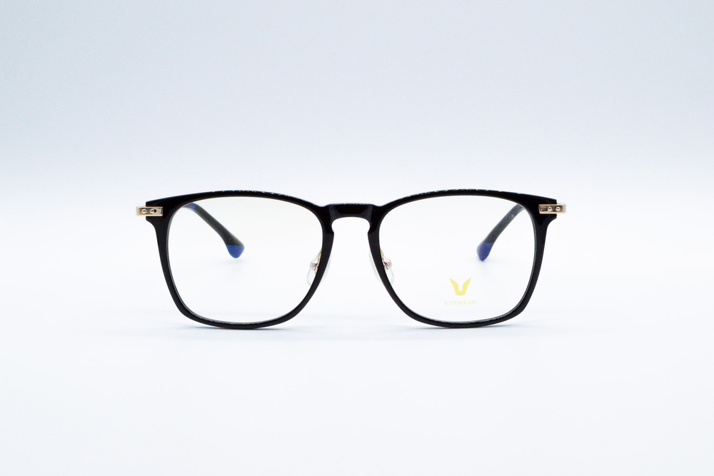 Изг. оправы Eyewear V3019 C01