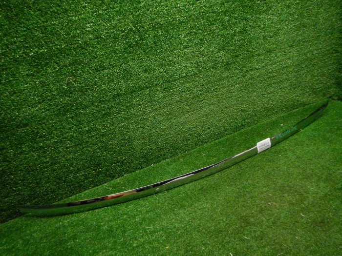 DSCN9786.JPG