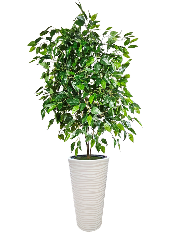Искусственное растение Фикус Бенджамина зеленый 170см в высоком круглом кашпо