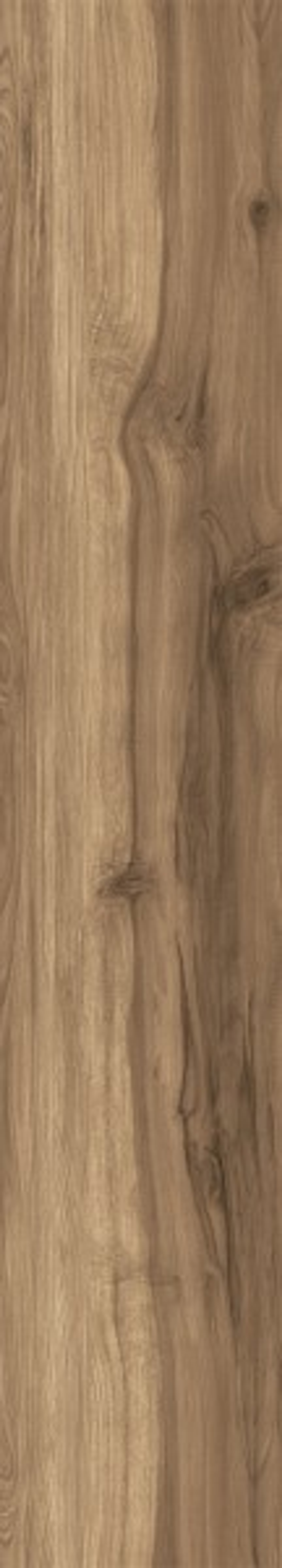 FOSSIL WOOD WENGE CW-RT10-B