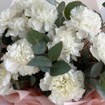 Премиум диантусы