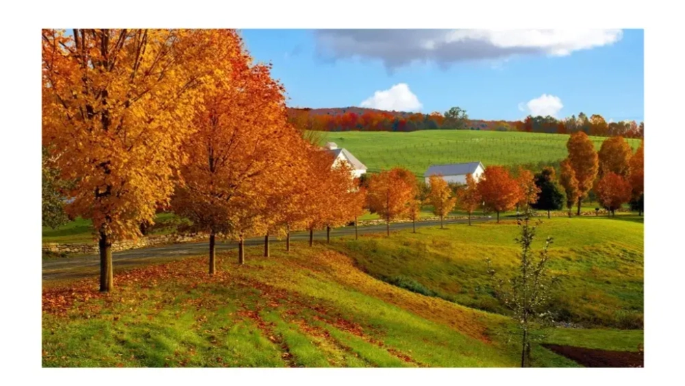 Светодиодный экран 136" дюймов SMART Media Display COB P07-54S