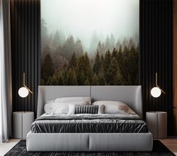Фотообои туманный лес