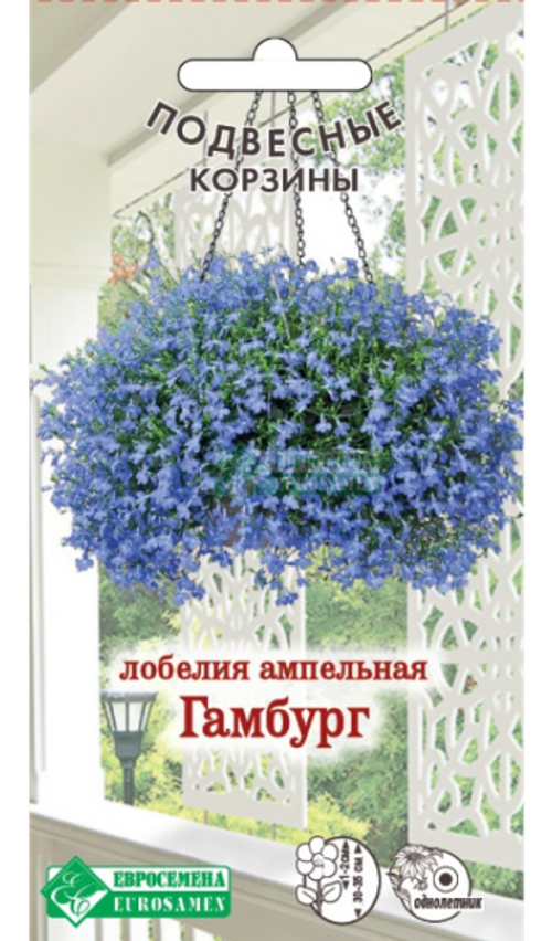 Лобелия ампельная Гамбург