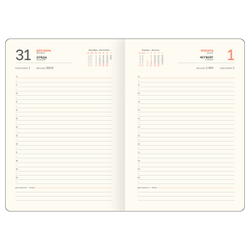 Ежедневник датированный 2026г., А5, 176л., твердый переплет, кожзам, BG "Horse. Pearl", цветной срез, с резинкой, карман DdА5_09395